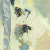 Bumble Bee 235_236