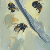 Bumble Bee 239-241