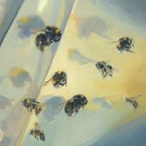 Bumble Bee 246-253