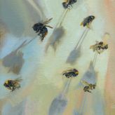Bumble Bee 276_282