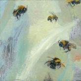 Bumble Bee 293_297