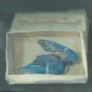 Bluebird Wings
